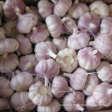 2021 new crop China/Chinese fresh garlic in bulk normal white for wholesale, Hot sales